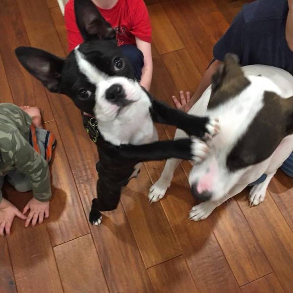 Meet your Posher, Erik